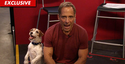 'Artist' Dog Bites (Little) Man