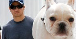 Jeremy Renner -- My Puppy Tragically Died