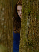 Watch the "Breaking Dawn: Part 2" Trailer Now!