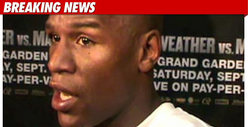 Mayweather Accused of Threatening Guards with Guns