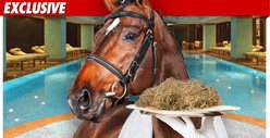 Kentucky Derby Champ -- Horsing Around at Day Spa