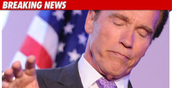 Arnold Schwarzenegger Puts Acting Career On Ice