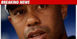 Tiger: I'll Donate $1 Mil If No One Asks About ... 