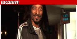 Snoop Dogg -- Bye-Bye Probation!