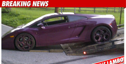 Bam Margera: My Lambo Was POISONED!