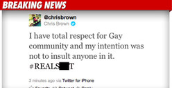 Chris Brown -- I Didn't Mean to Piss Off the Gays