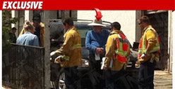 Donald Sutherland Crash -- Only Half to Blame