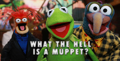 Jason Segel -- The Great Muppet Mix-Up