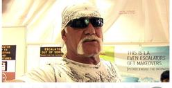 Hulk Hogan: Linda is 'Delusional'