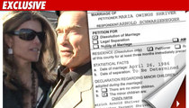 Maria Shriver Files for Divorce from Arnold