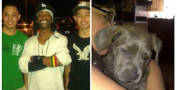 Katt Williams' Bodyguard Kills Dog in Bizarre Attack