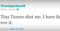 Randy Jackson: Tina Turner Shot Me!