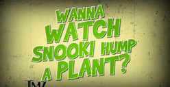 Snooki the Tree Humper -- Drunk or a Dendrophiliac?