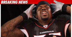 NFL Star's Dogs Kills Neighbor's Dog