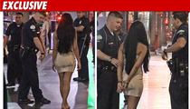 GORGEOUS Model Busted for DUI -- The Sexy Footage