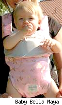 Brooke Shield's Sweet Ellie Pink Baby Bjorn cover