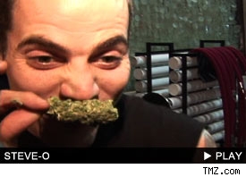Steve-O: Click to watch!