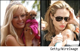 Paris Hilton / Angelina Jolie