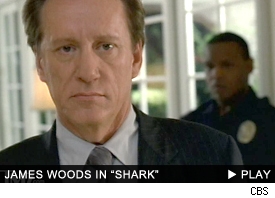 Shark