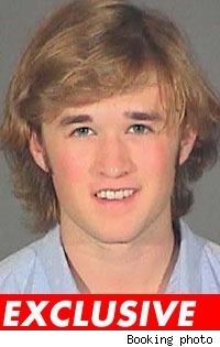 Haley Joel Osment Mugshot