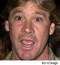 Steve Irwin