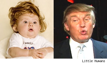 The Baby Don / Donald Trump