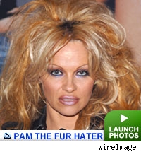 Pamela Anderson photo gallery: Click to launch