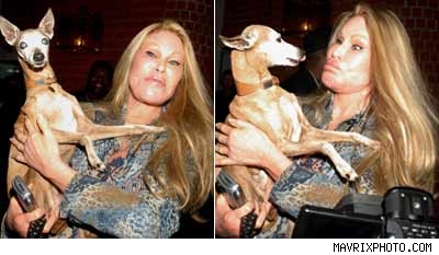 jocelyn wildenstein