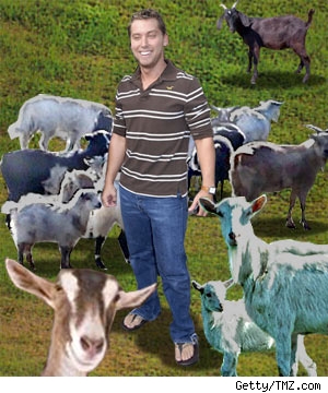 Lance Bass and Goats