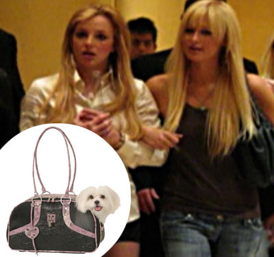 From Paris to Britney