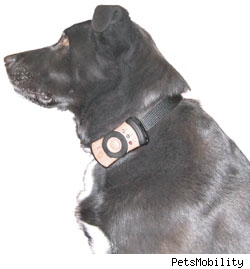 PetsCell