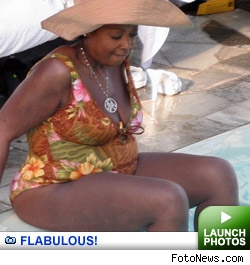 Flabulous Gallery: click to launch gallery