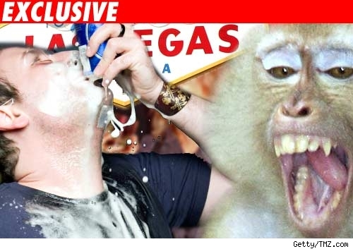 Monkey and a guy drinking a beer