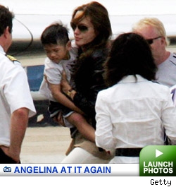 Angelina Adopts Pax: Launch gallery