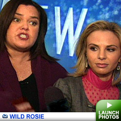 Rosie gallery: Click to launch gallery