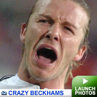 Beckhams gallery: click to launch gallery