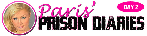 Paris Prison Diaries