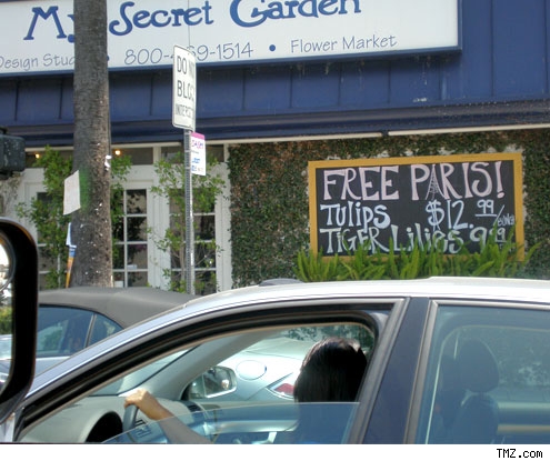 Free Paris Sign