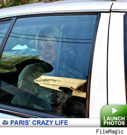 Paris at her best: click to launch gallery