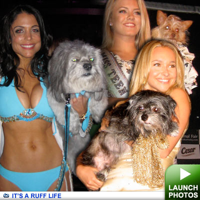 Celebs and their dogs: Click to launch photos