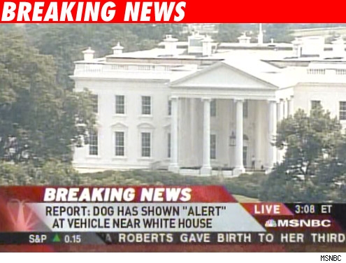 Whitehouse