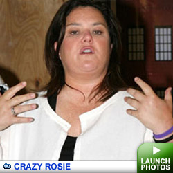 Crazy Rosie: Click to launch photos
