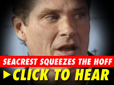 David Hasselhoff
