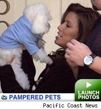 Pampered Pets -- click to launch