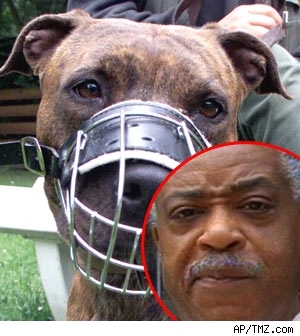 Al Sharpton