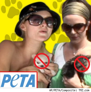 Paris Hilton, Britney Spears