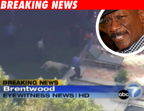 Ving Rhames House