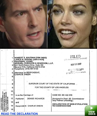 Charlie Sheen and Denise Richards