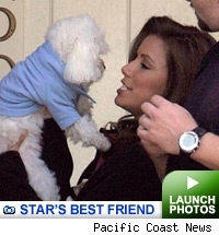 Celebs and Their Pets -- click to launch