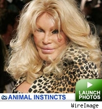 Animal Instincts: Click to launch!